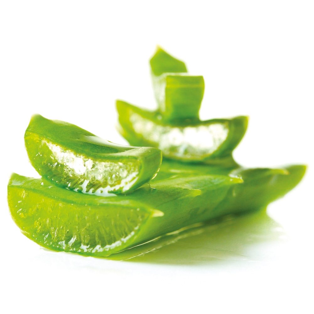 aloe vera cosmetic pure ingredient